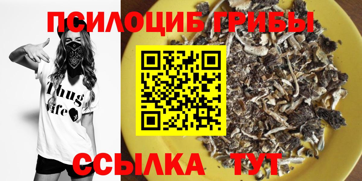 Псилоцибиновые грибы мухоморы Баксан